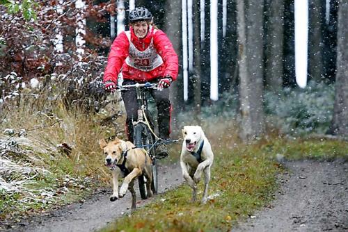 Bild04