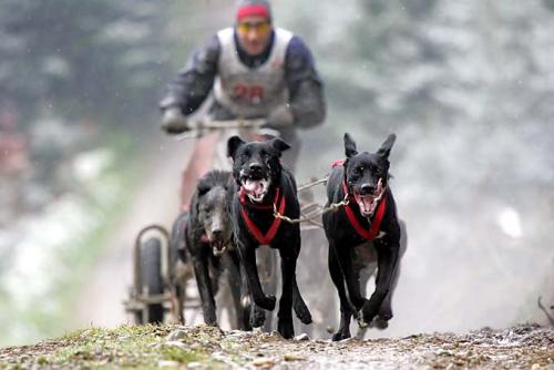 Bild05