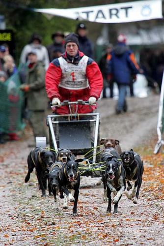 Bild11