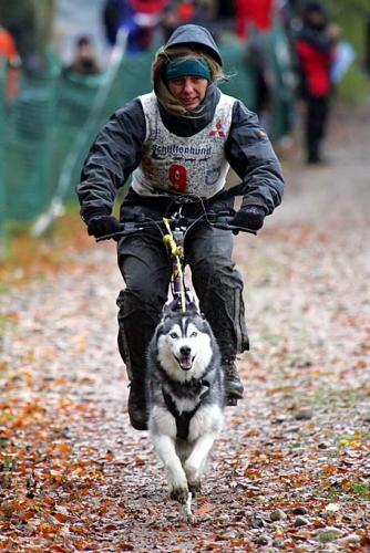 Bild12