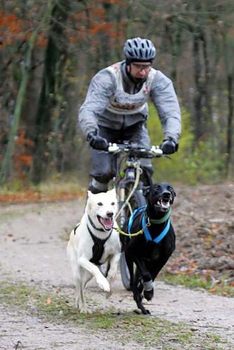 Bild13