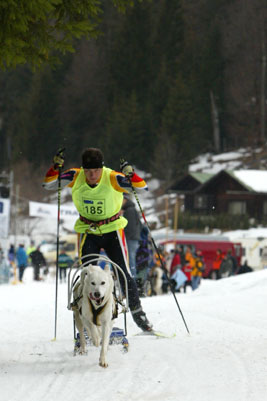 kreuzer ludwig