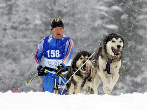 Wallgau 2009