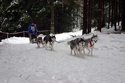 warmensteinach 13