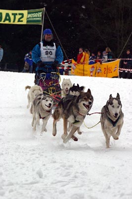 goetzmann manfred