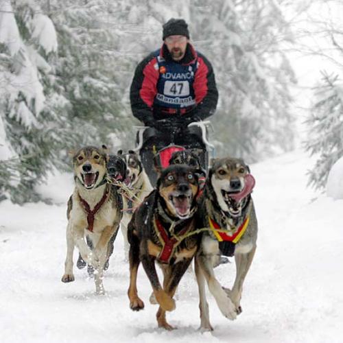 KY7J7309