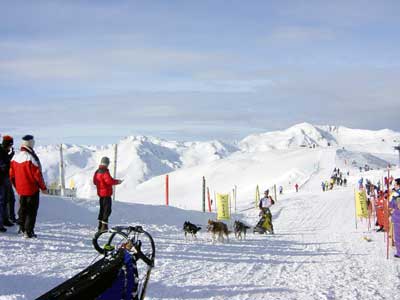 wildkogel 2