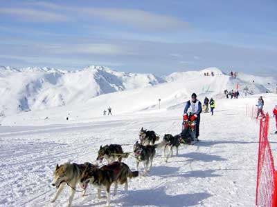 wildkogel 5